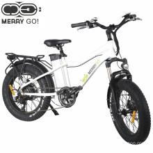 2018 LCD 48V 500W Motor Electric Bicycle for Kids